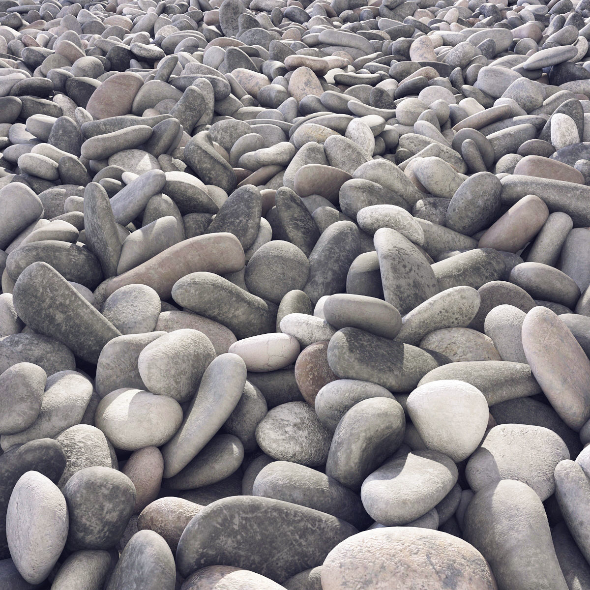 Pebble n8 low mix 3D model_2