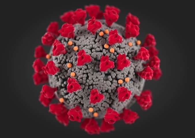 Corona Virus covid-19  3d model 3D model