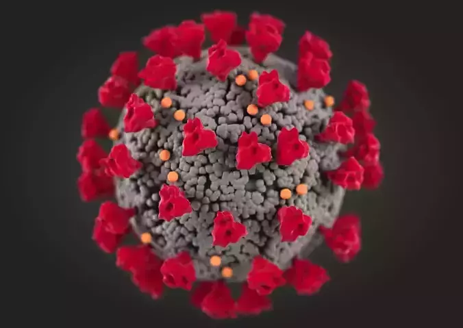 Corona Virus covid-19  3d model