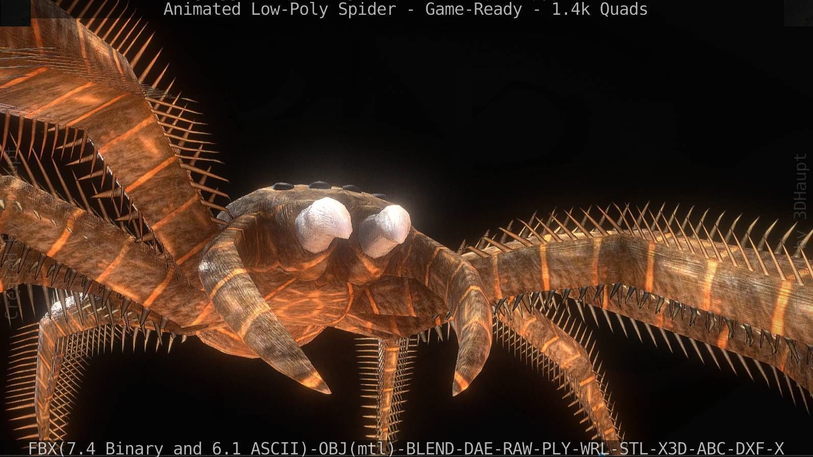 Spider Rigged and Game Ready Low-poly 3D model_38