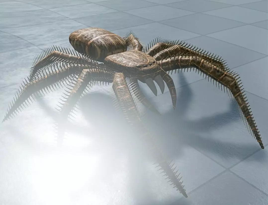 Spider Rigged and Game Ready Low-poly 3D model_0