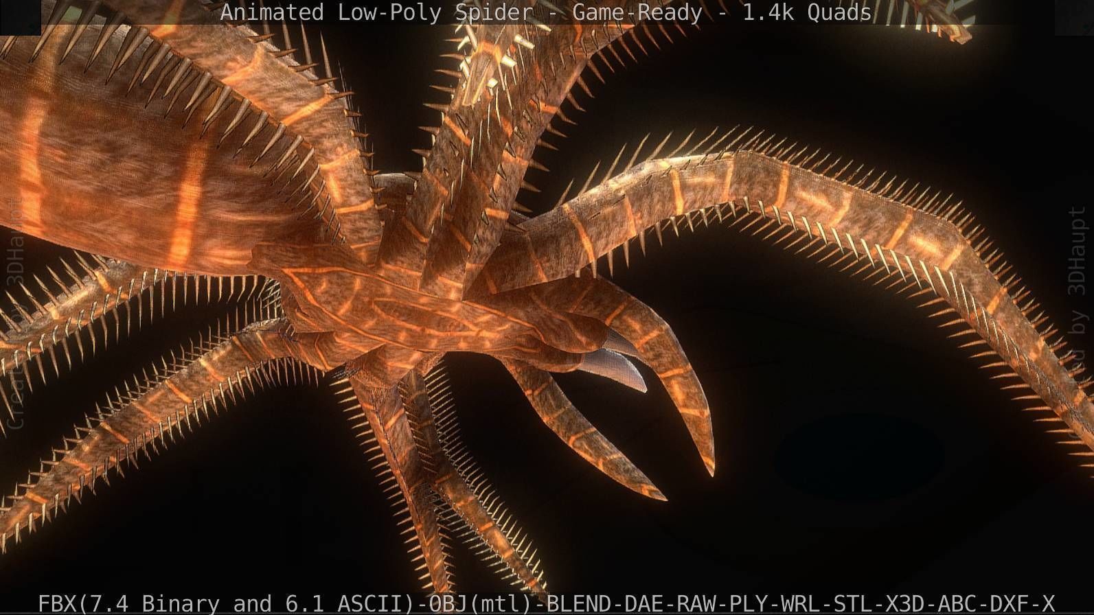 Spider Rigged and Game Ready Low-poly 3D model_43