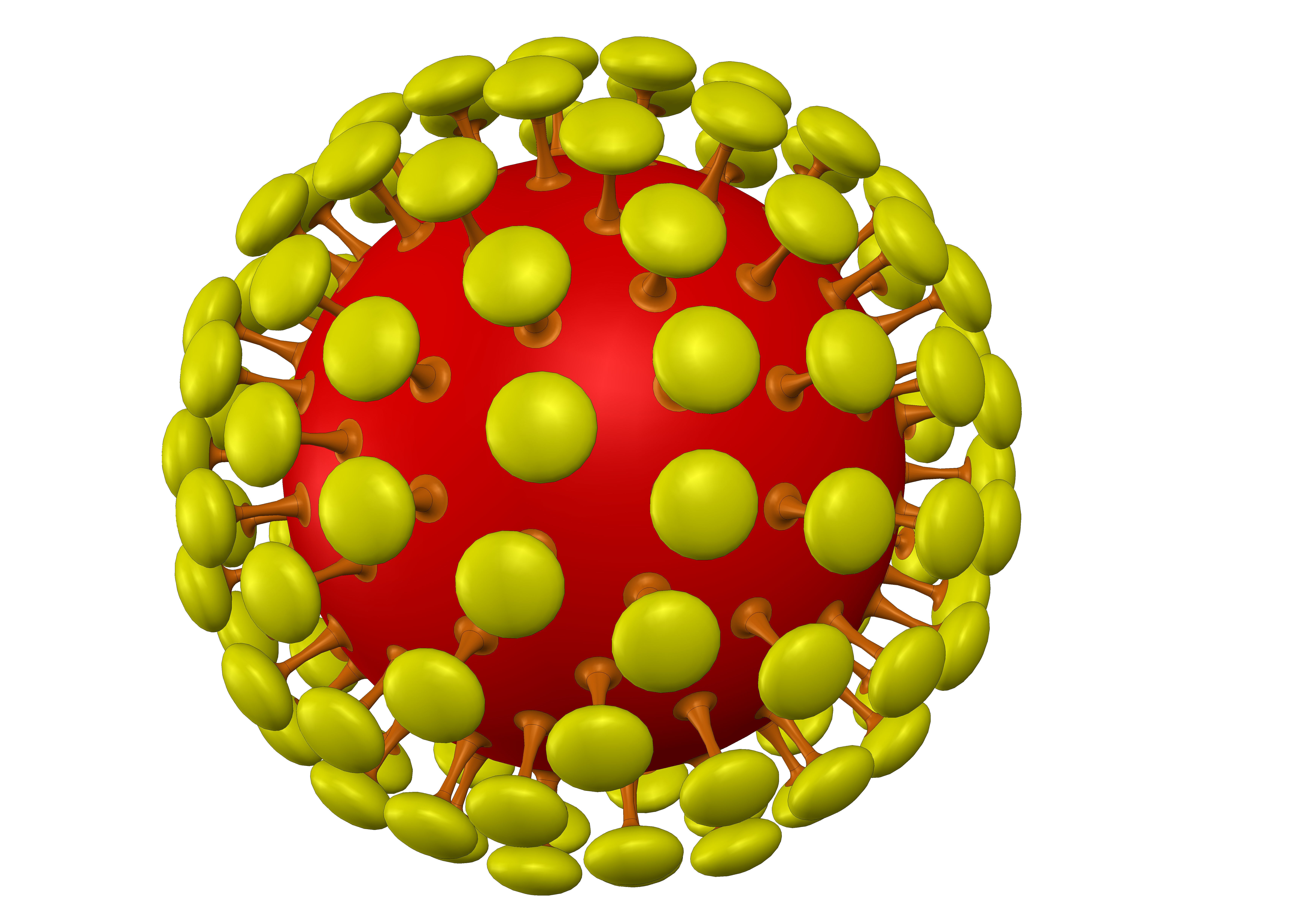 Novel COVID-19 Representation - Coronavirus 3D Model 3D model_5