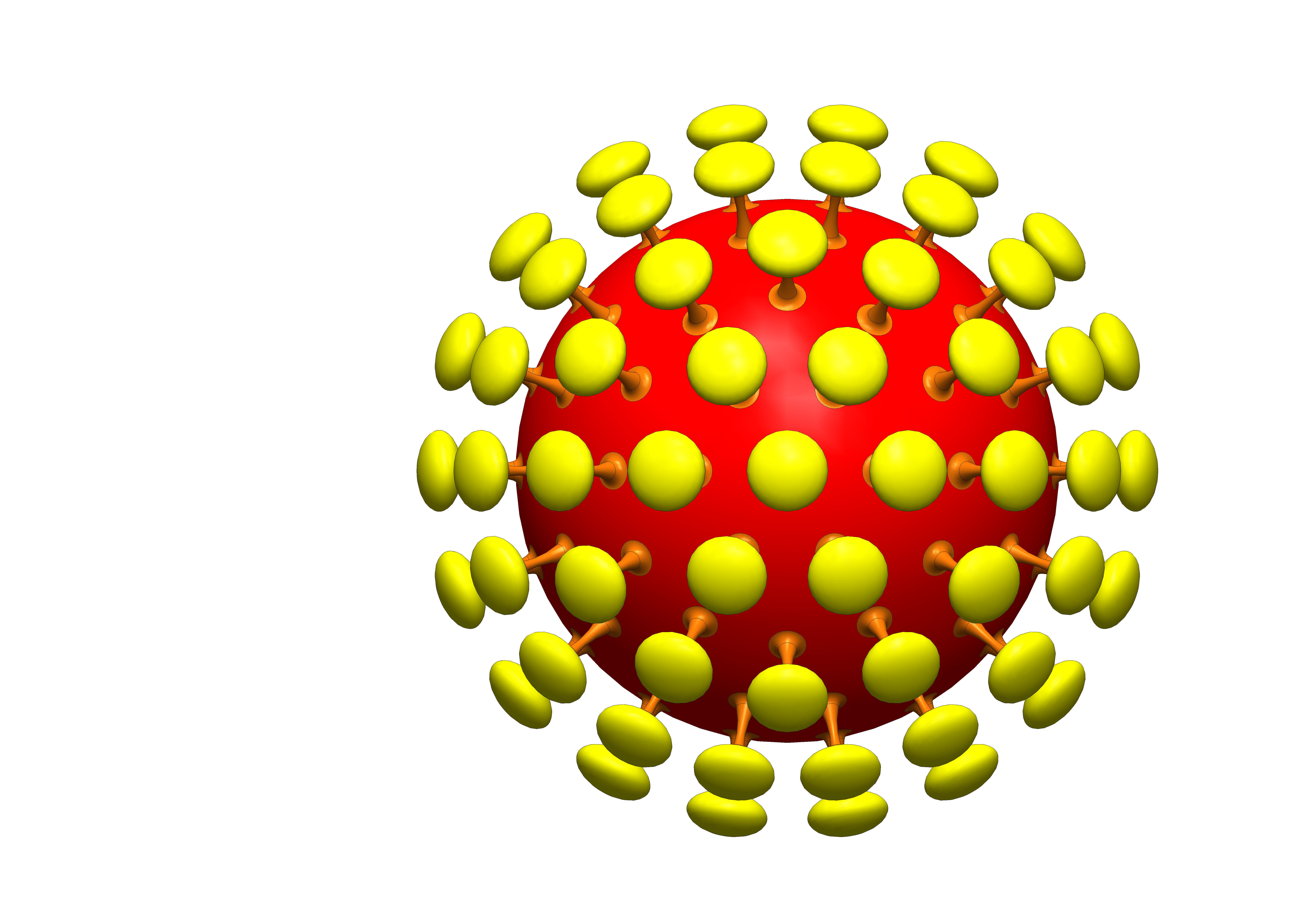 Novel COVID-19 Representation - Coronavirus 3D Model 3D model_12