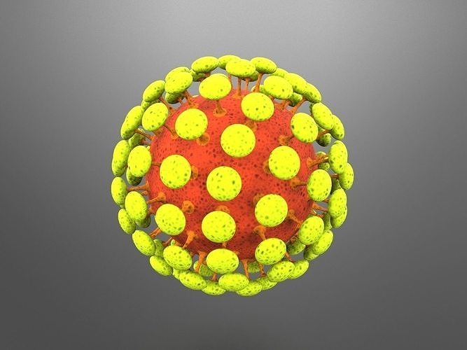 Novel COVID-19 Representation - Coronavirus 3D Model 3D model