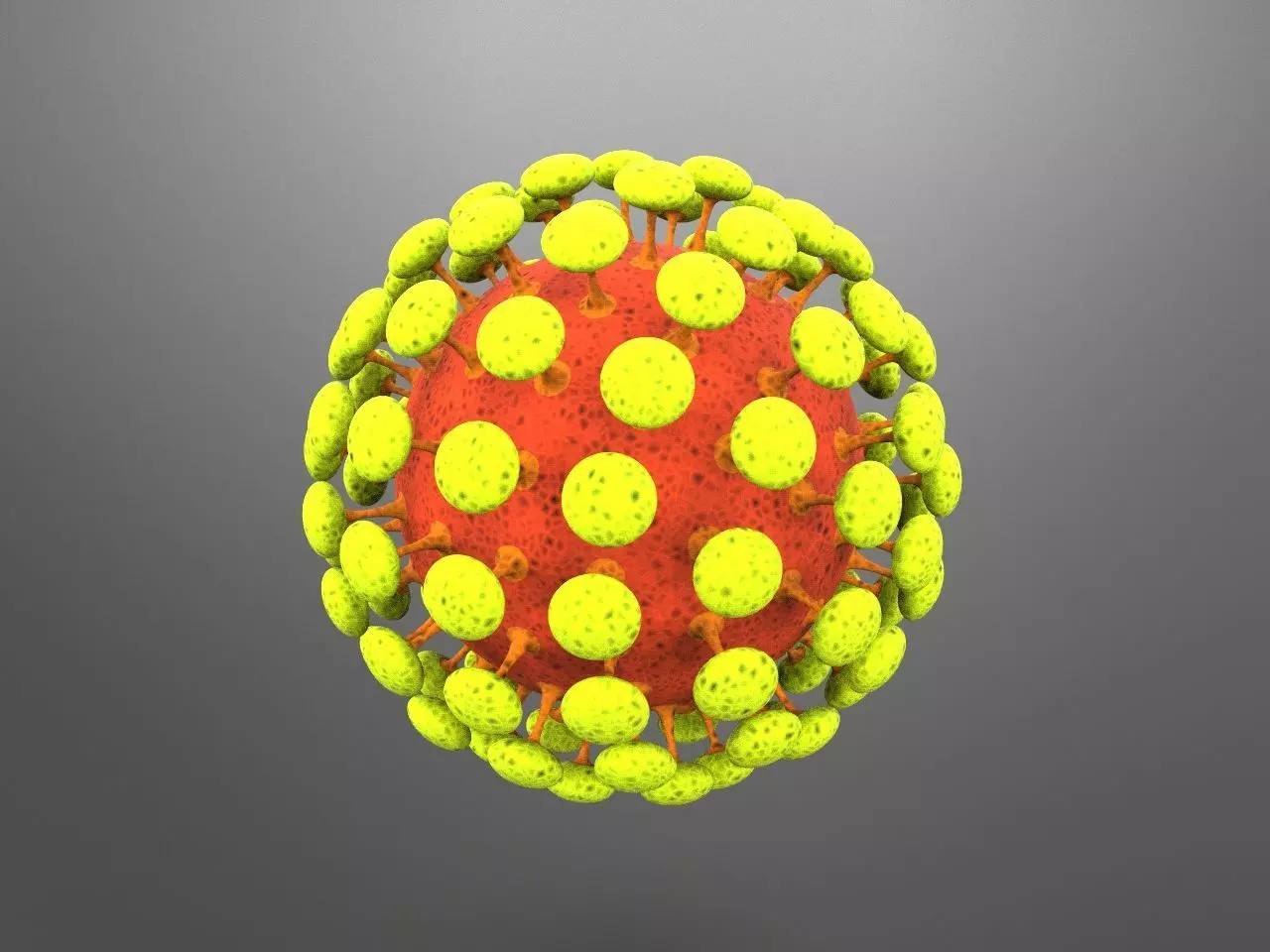Novel COVID-19 Representation - Coronavirus 3D Model 3D model_0