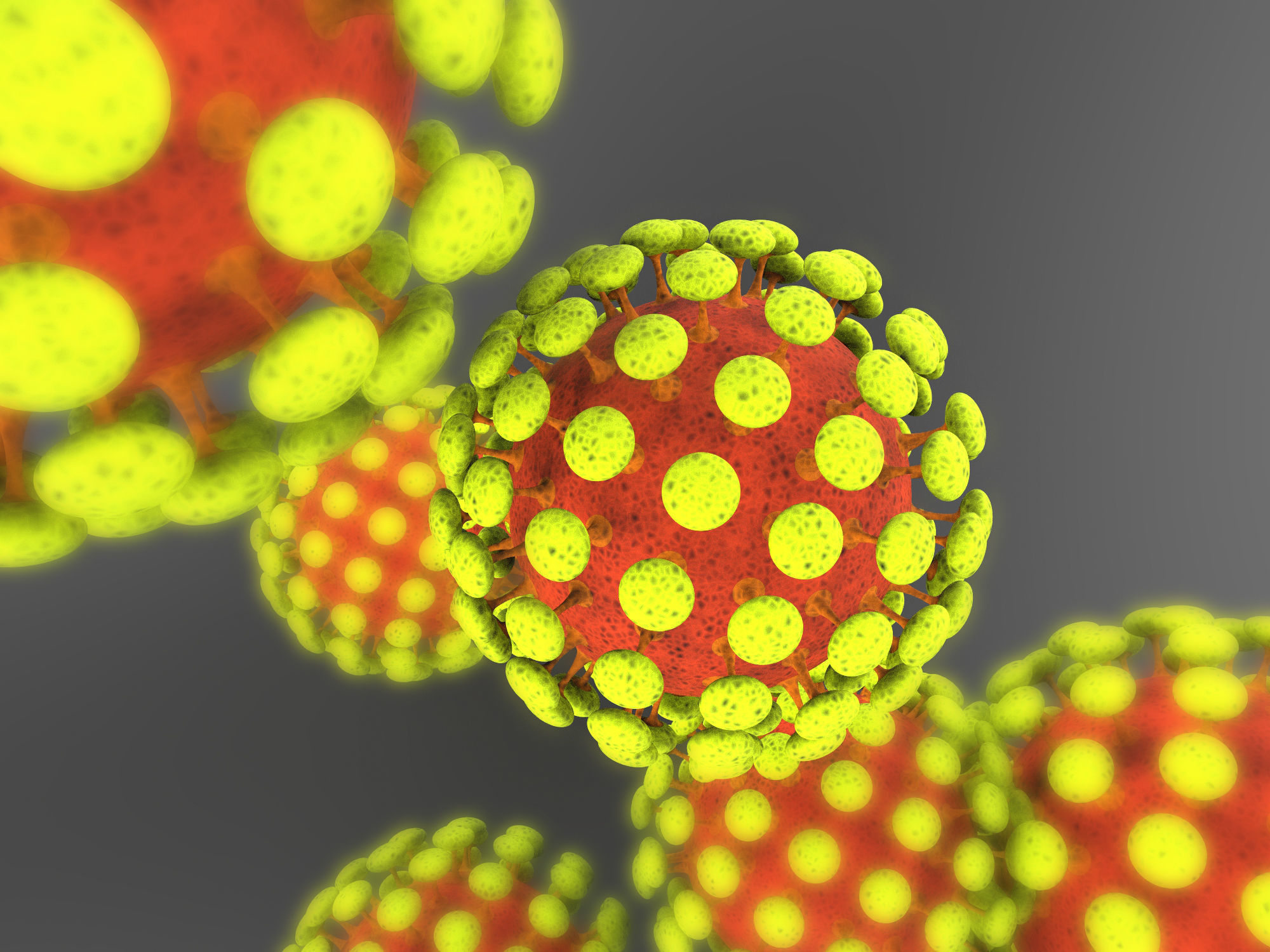 Novel COVID-19 Representation - Coronavirus 3D Model 3D model_2