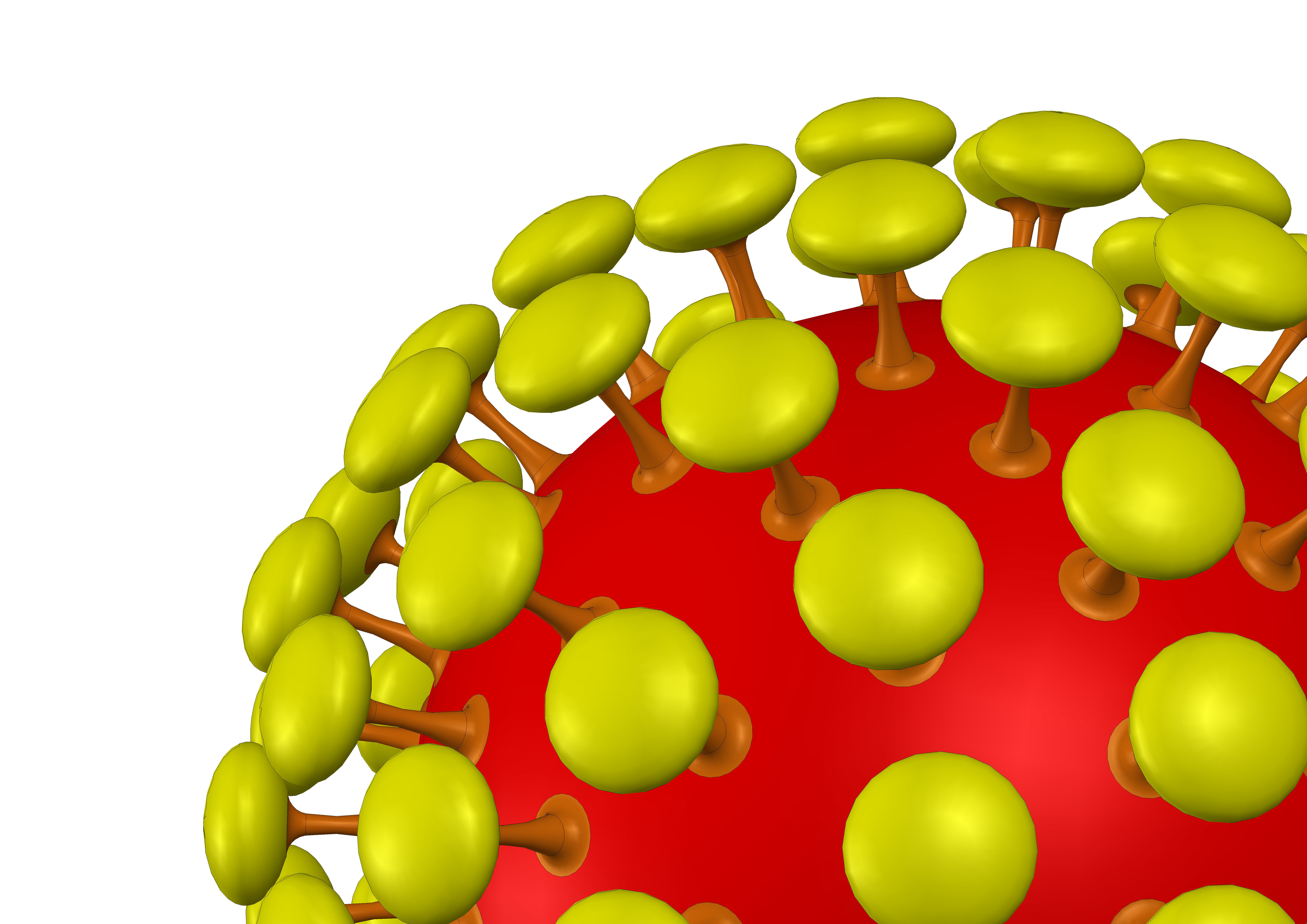 Novel COVID-19 Representation - Coronavirus 3D Model 3D model_4