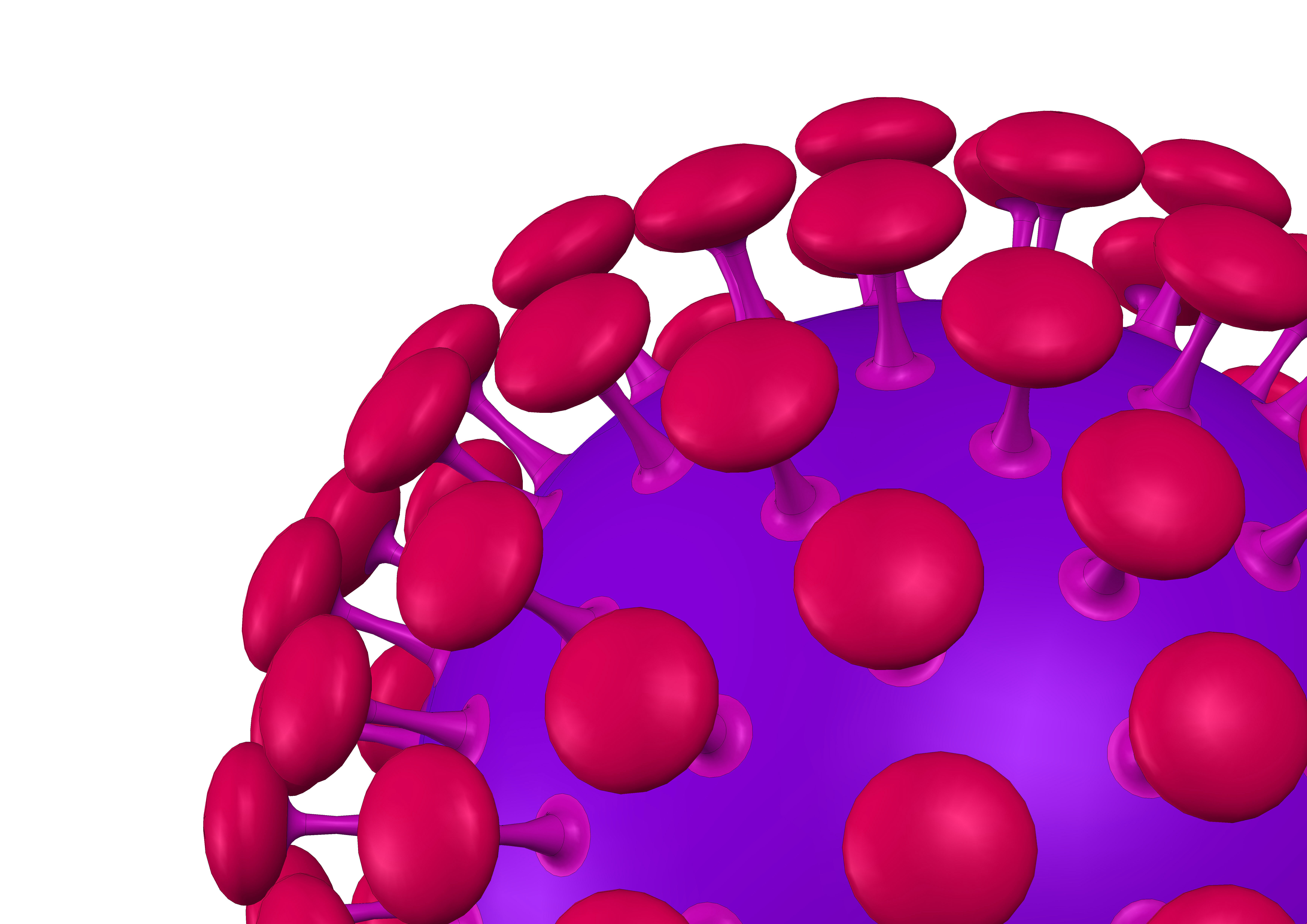 Novel COVID-19 Representation - Coronavirus 3D Model 3D model_7