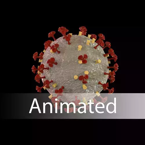 Corona virus 3d model Realistic Model Low-poly 3D model