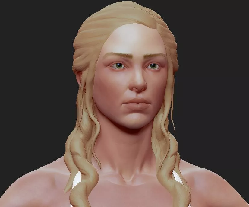 Female Anatomy Zbrush Sculpture 3D model