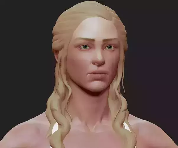 Female Anatomy Zbrush Sculpture 3D model