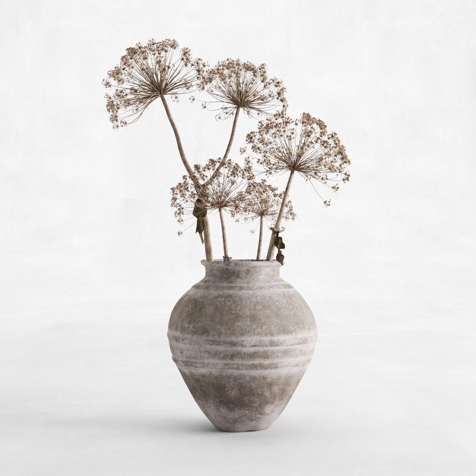 Hogweed In A Clay Vase 3D model_1