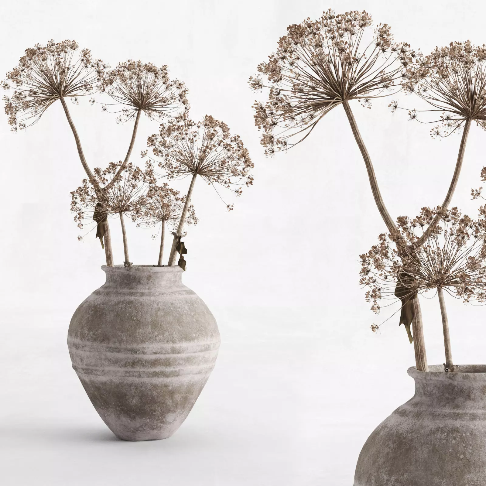Hogweed In A Clay Vase 3D model_0