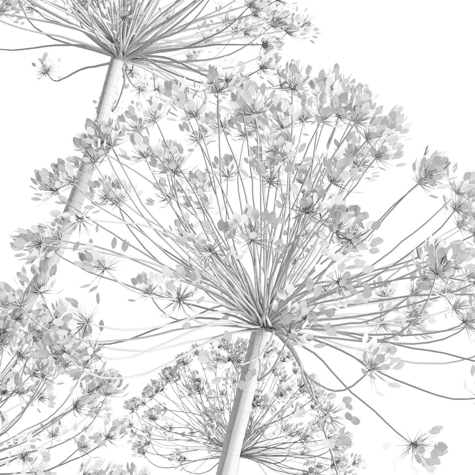 Hogweed In A Clay Vase 3D model_8