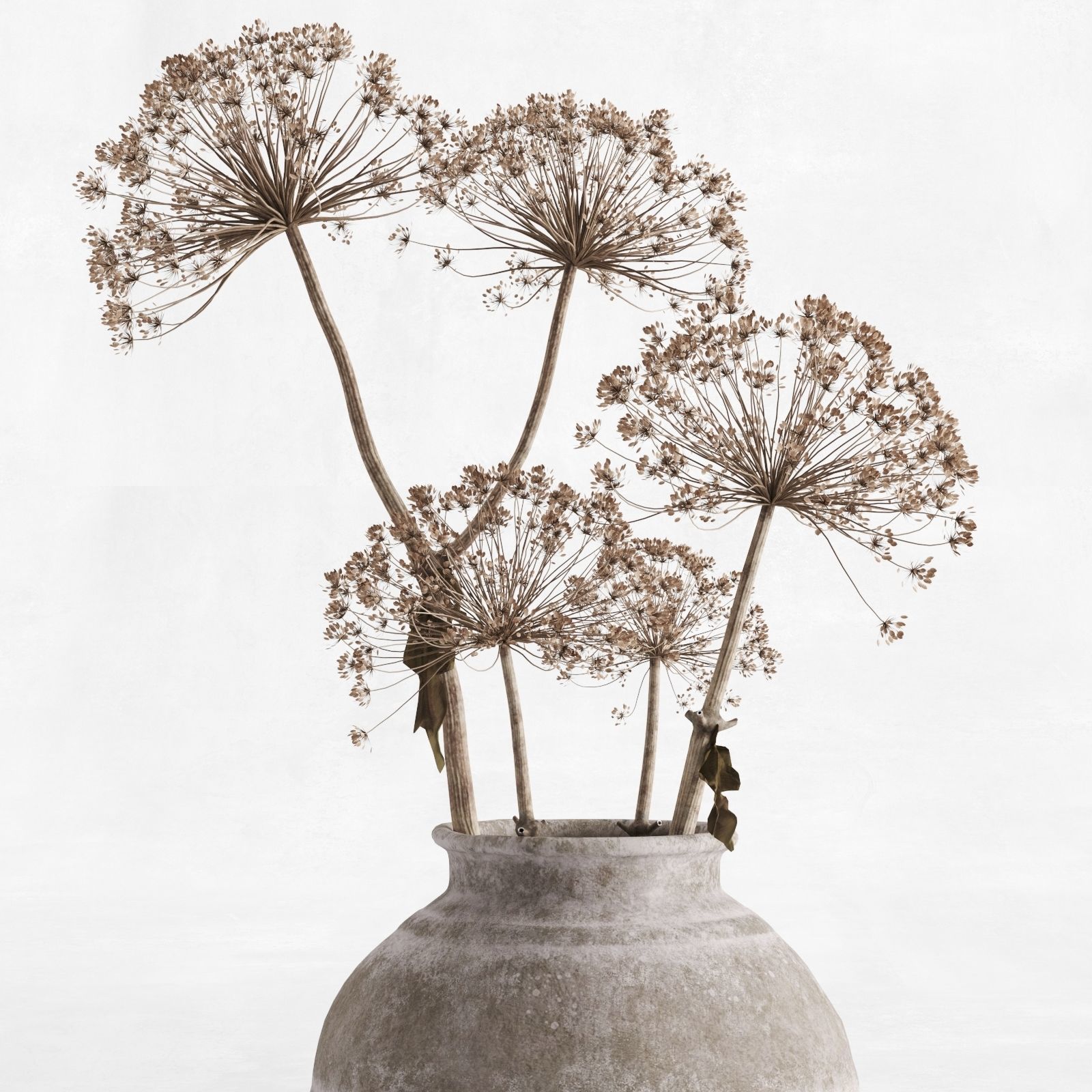 Hogweed In A Clay Vase 3D model_2