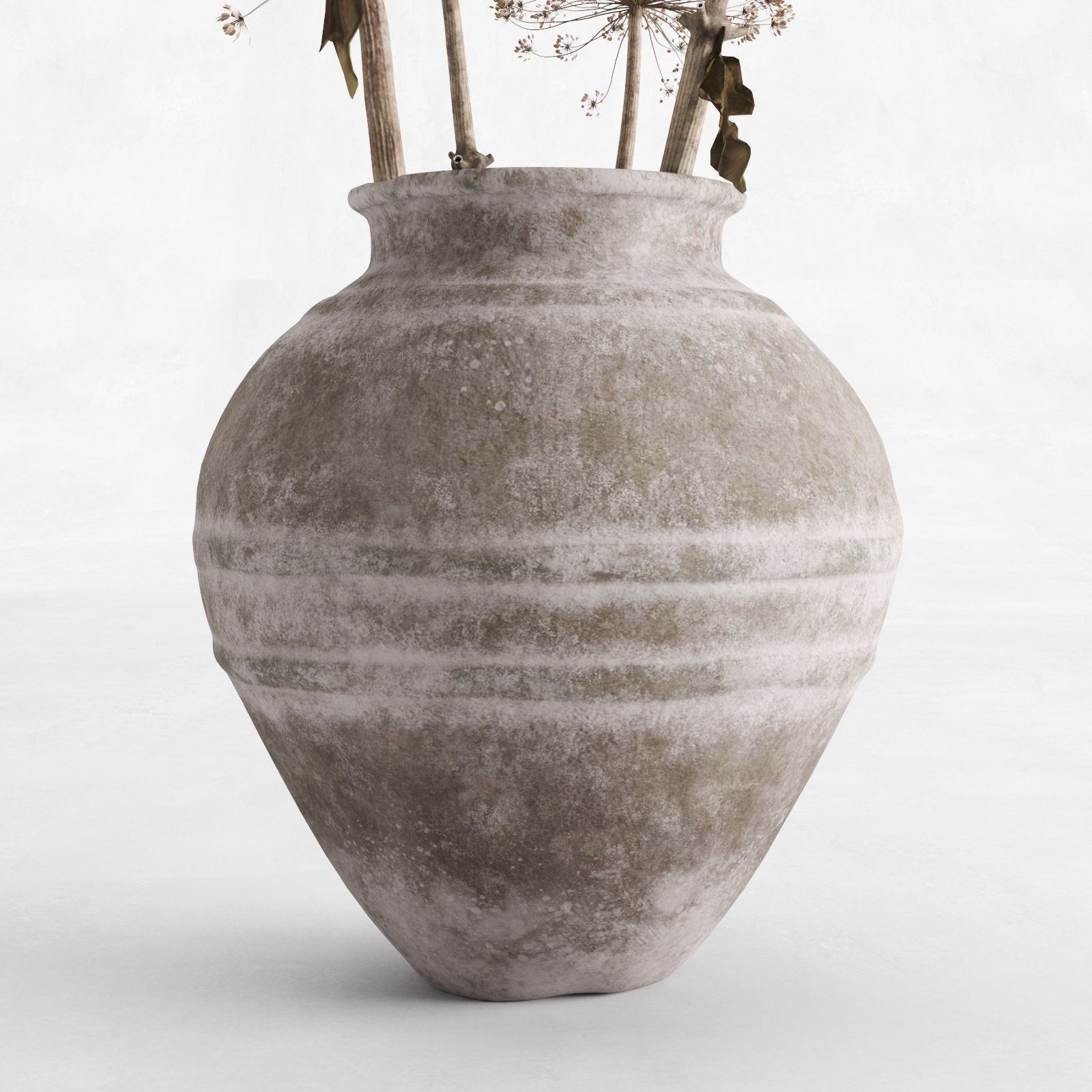 Hogweed In A Clay Vase 3D model_3