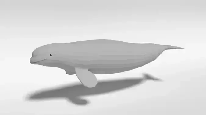 Low Poly Cartoon Beluga Whale Low-poly 3D model