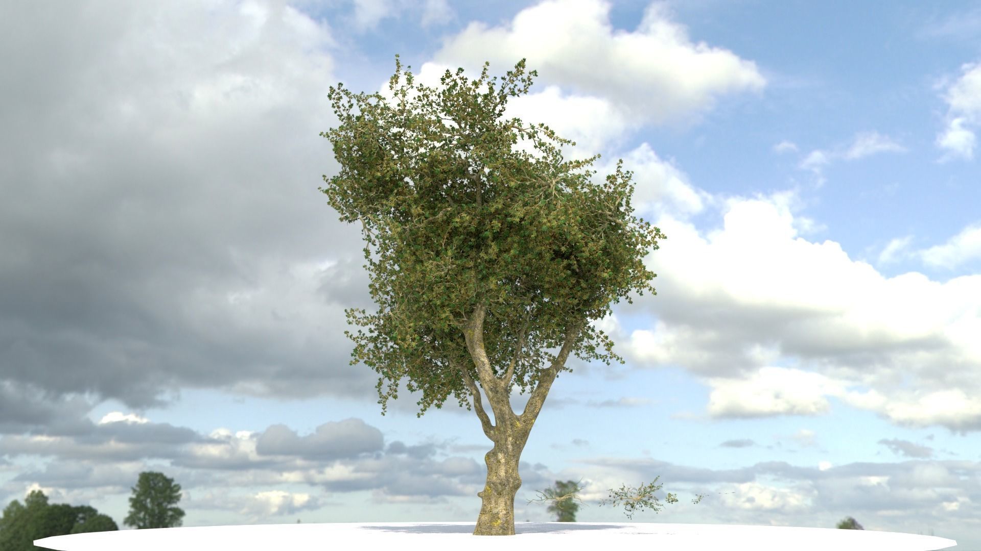 Dogu Cinari - Platanus Orientalis Free low-poly 3D model_1