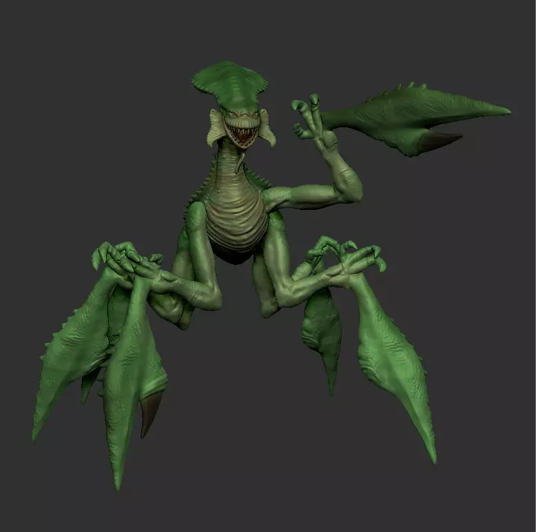 acklay figue custom 3D print model_0