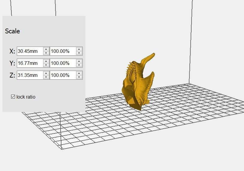 acklay figue custom 3D print model_14