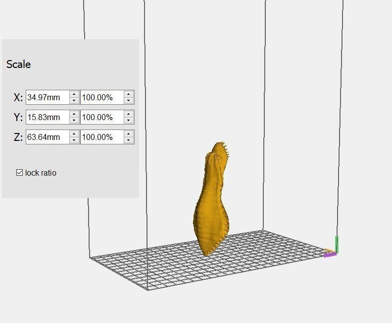 acklay figue custom 3D print model_15