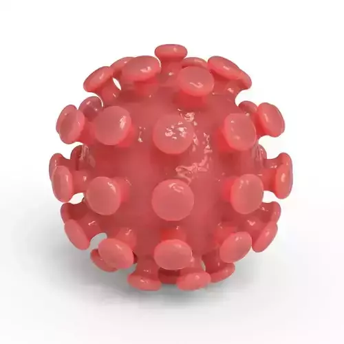 Simple Coronavirus