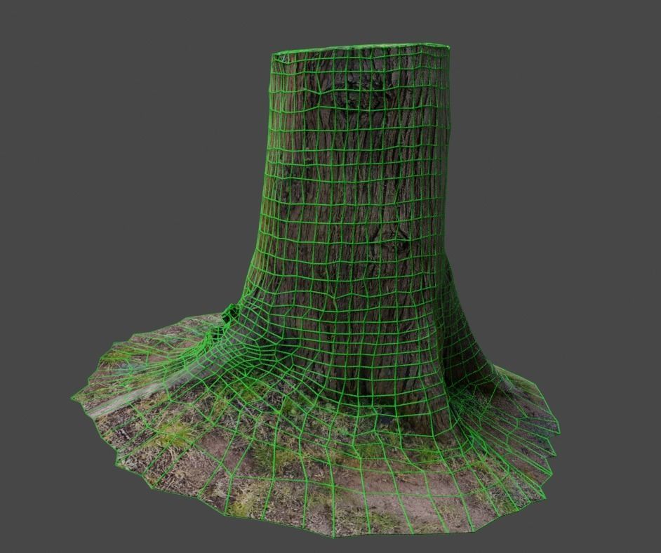 3D Scanned Tree Stumps Low-poly 3D model_9