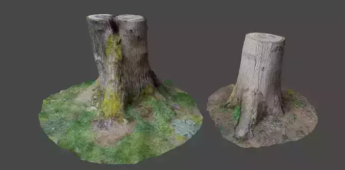 3D Scanned Tree Stumps Low-poly 3D model