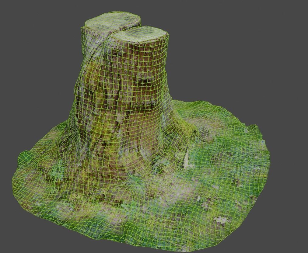 3D Scanned Tree Stumps Low-poly 3D model_10