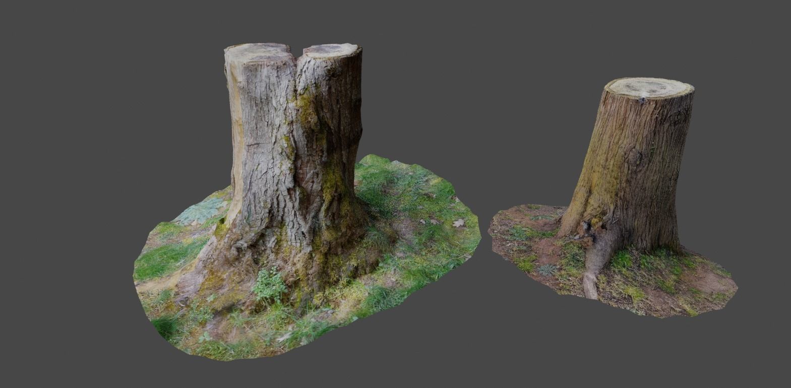 3D Scanned Tree Stumps Low-poly 3D model_11