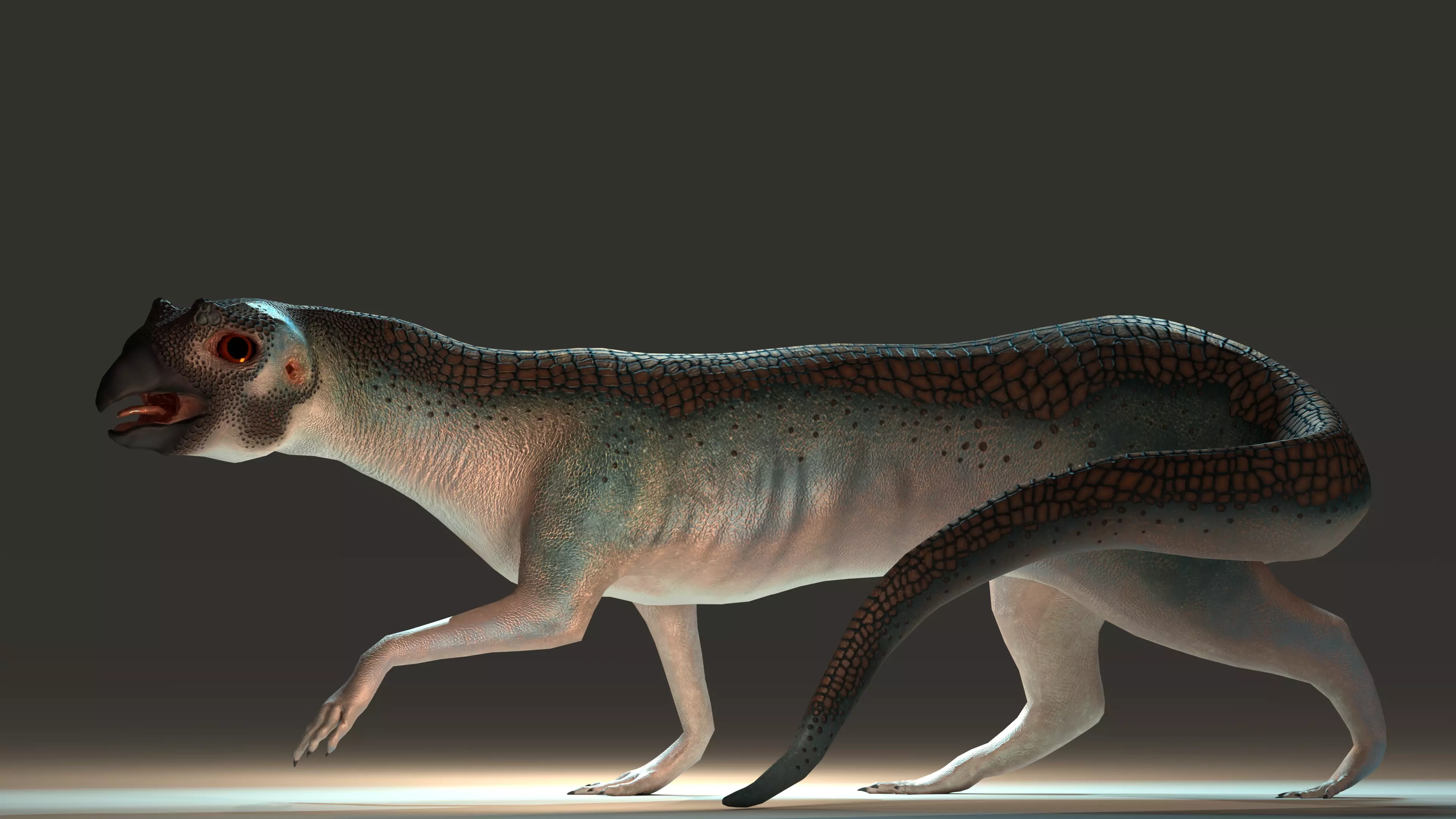 Beaked Ferret-Lizard Rigged Low-poly 3D model_0