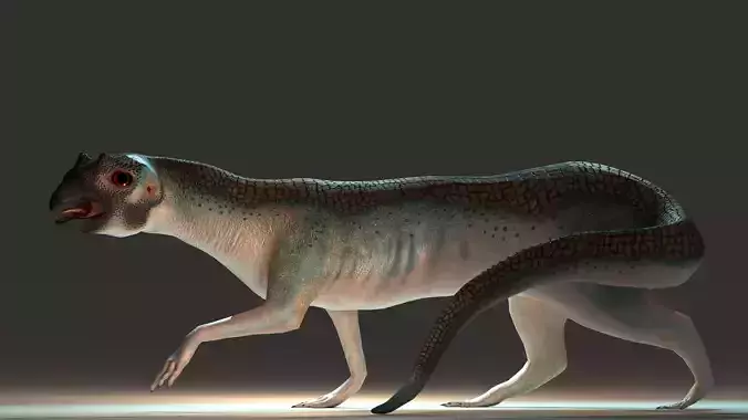 Beaked Ferret-Lizard Rigged