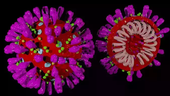 Corona Virus Covid 19