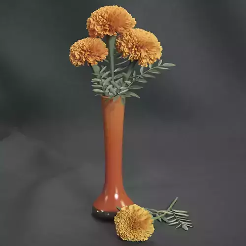 Marigolds orange flowers in vase 3D model
