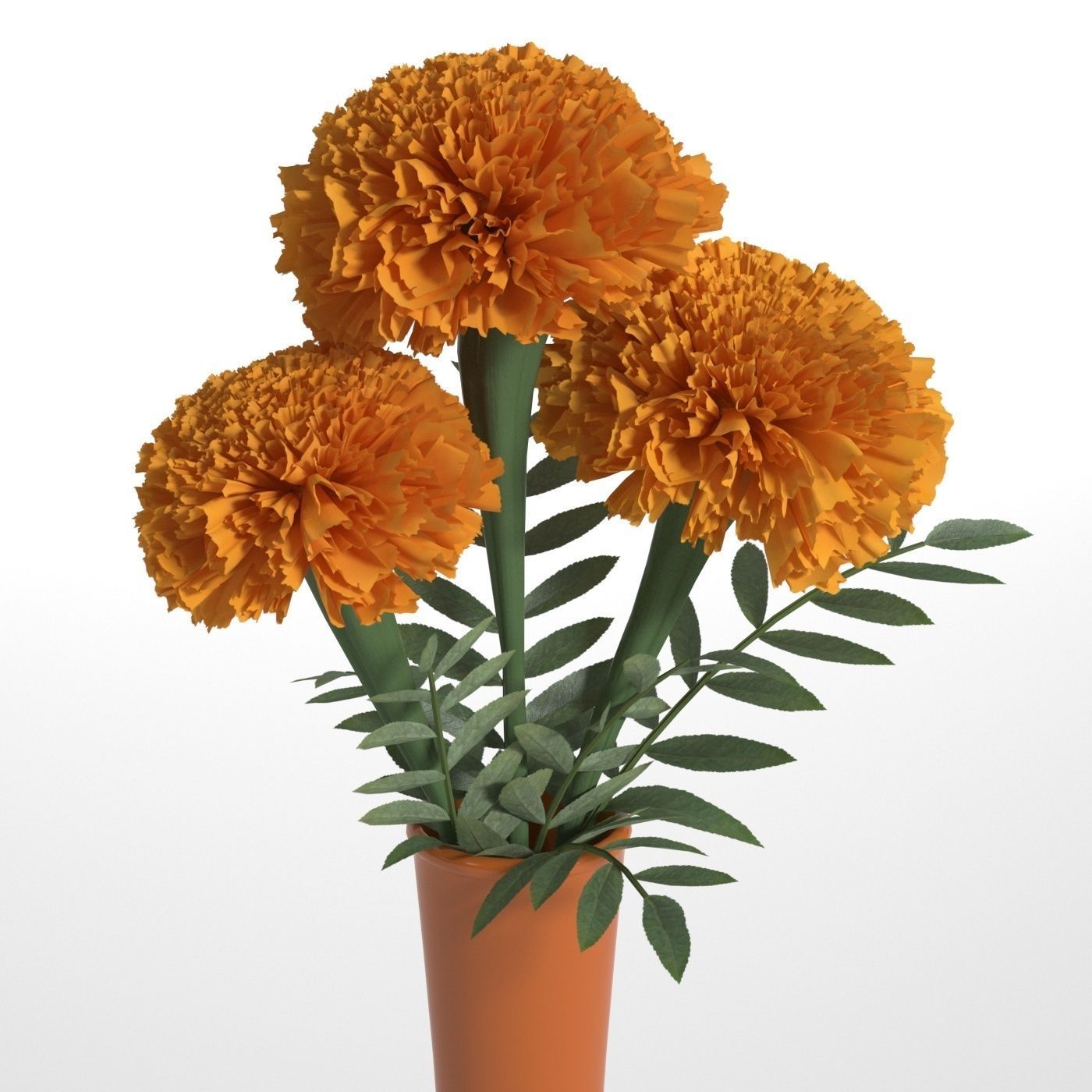 Marigolds orange flowers in vase 3D model_7