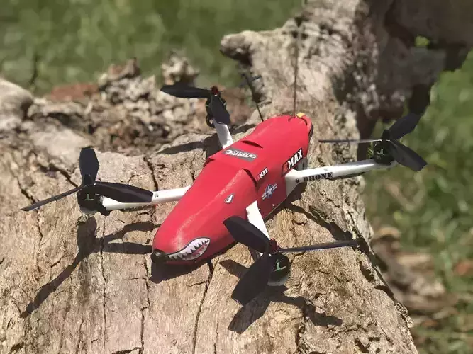 Wild Chaser Drone 3D print model