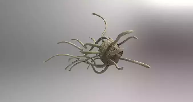 Pathogenic Organism Free 3D model