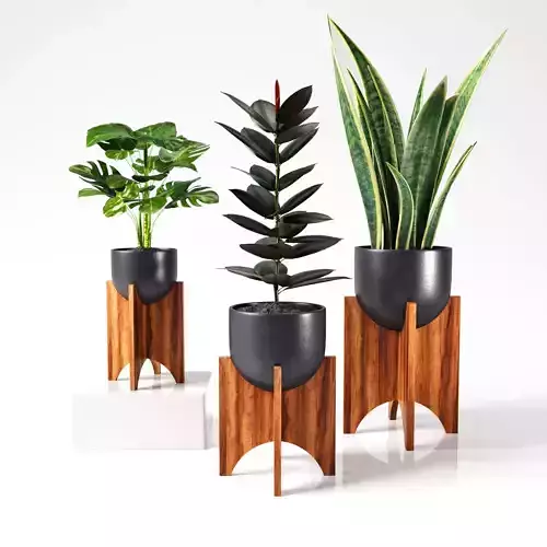 plant collection set 03