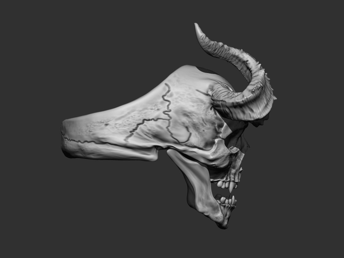 Realistic Ring Demon Skull with Horns 3D print model_5