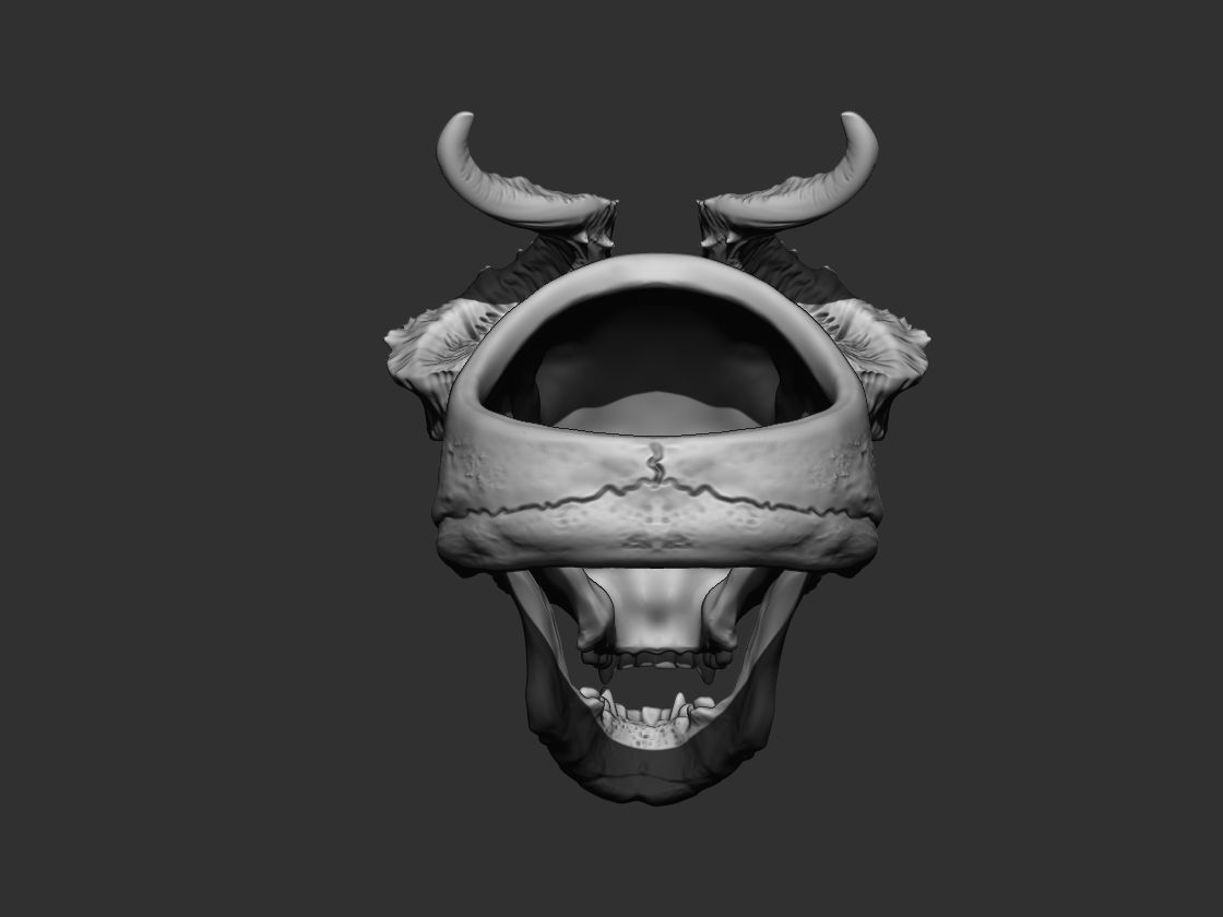 Realistic Ring Demon Skull with Horns 3D print model_6