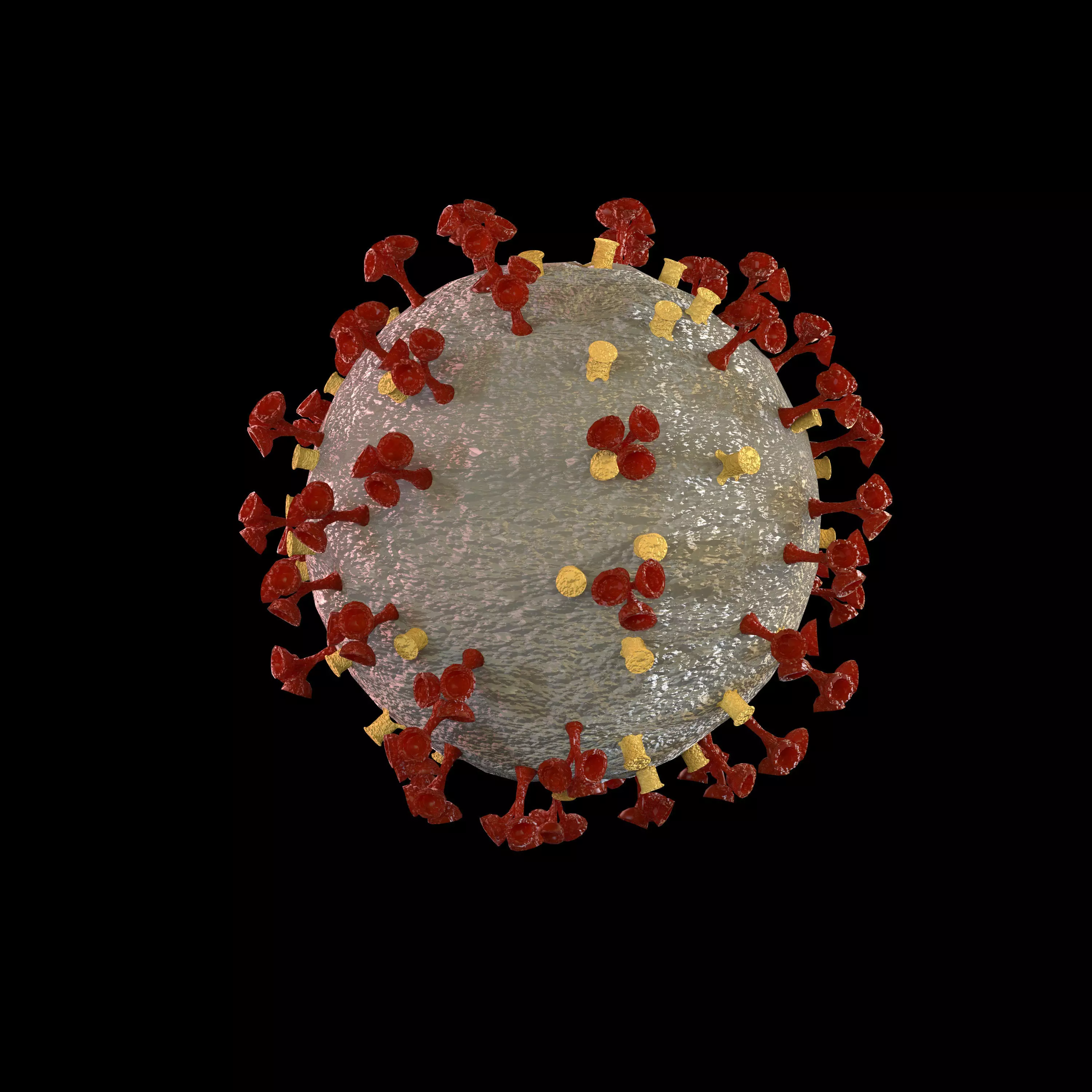 Corona virus 3d model Realistic Model Low-poly 3D model_0