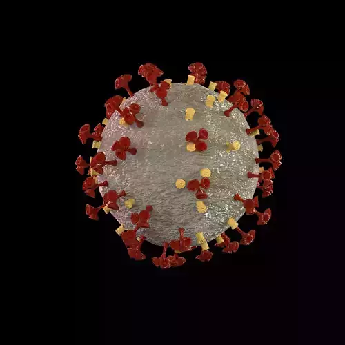 Corona virus 3d model Realistic Model Low-poly 3D model