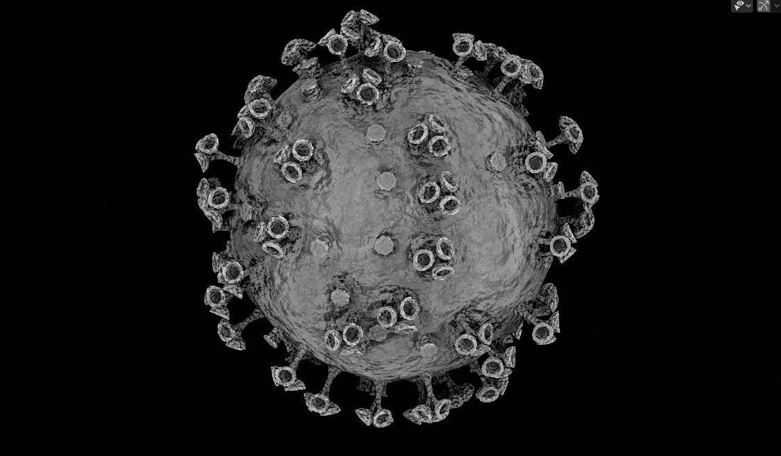 Corona virus 3d model Realistic Model Low-poly 3D model_4