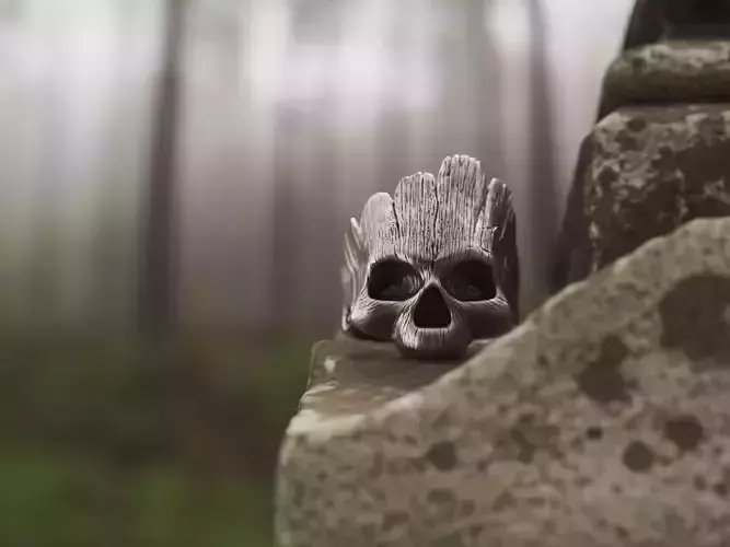 Ring Wooden Skull  3D print model