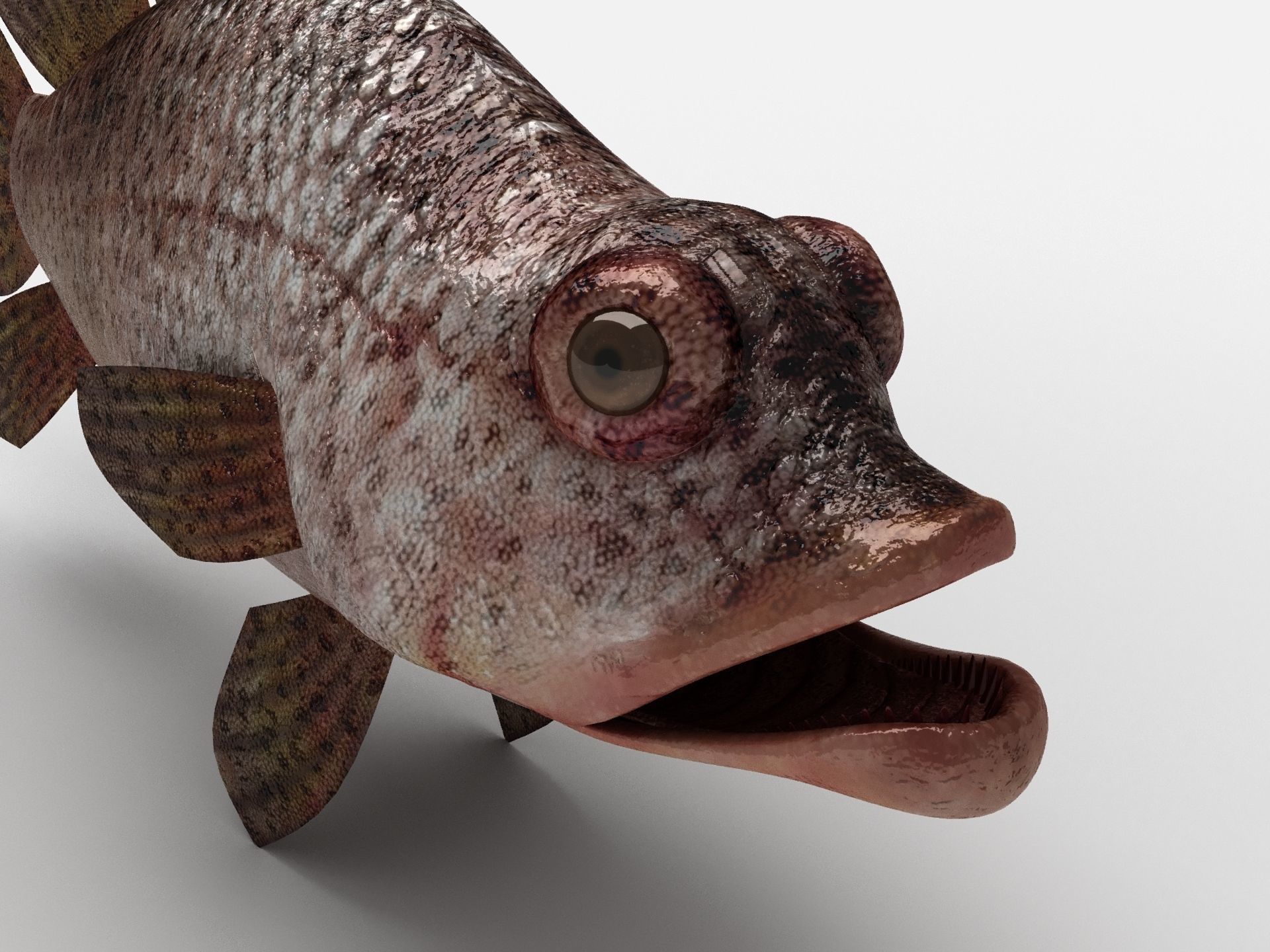 Scorpion fish Scorpen-2 Low-poly 3D model_5