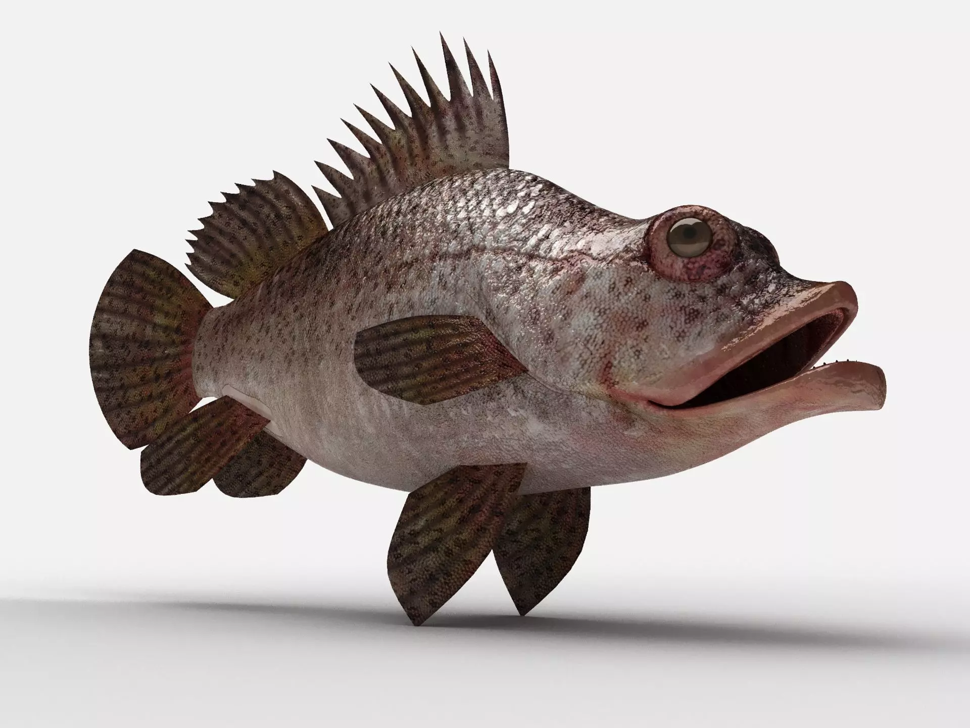 Scorpion fish Scorpen-2 Low-poly 3D model_0