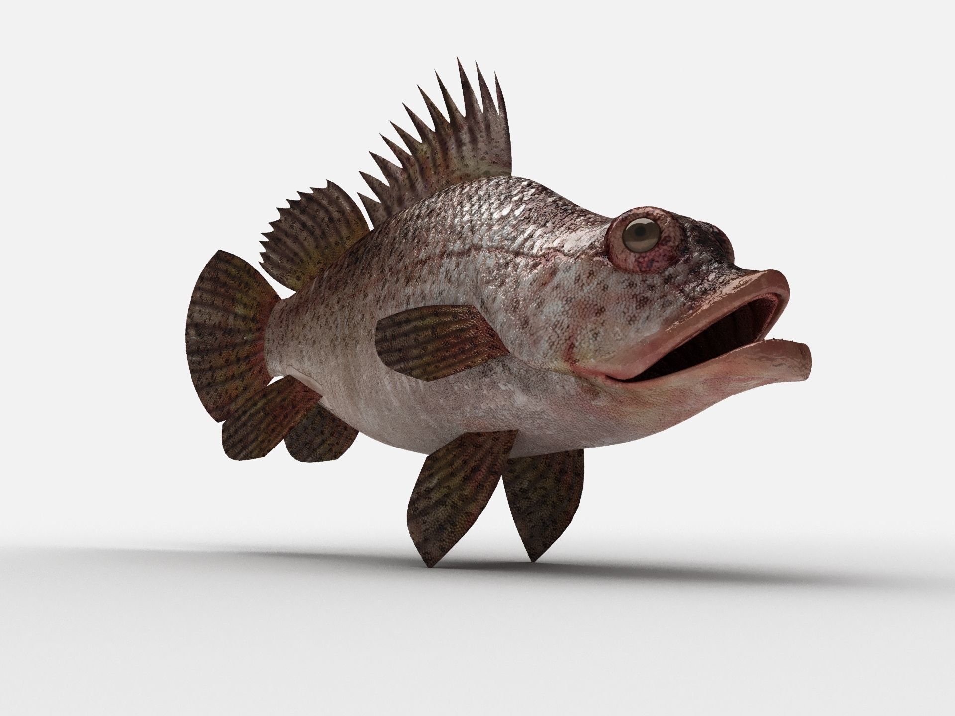 Scorpion fish Scorpen-2 Low-poly 3D model_3