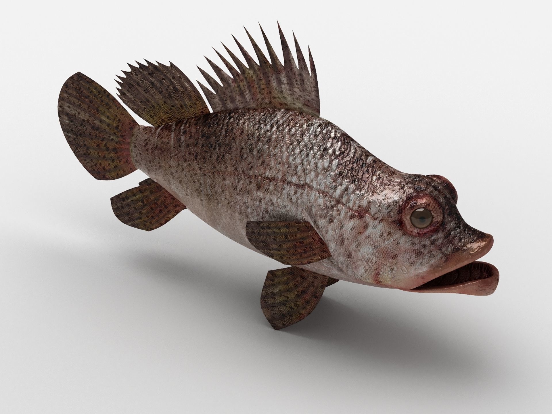 Scorpion fish Scorpen-2 Low-poly 3D model_2