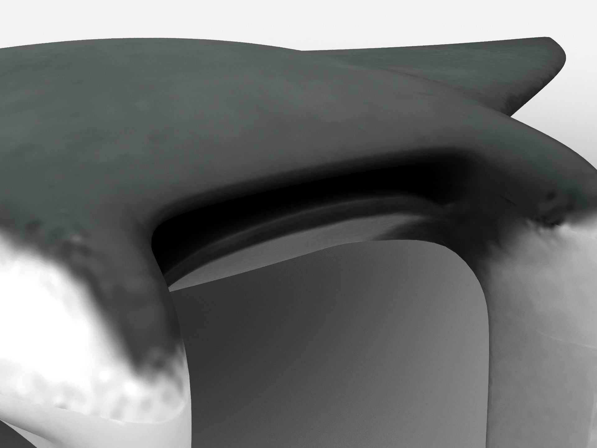 Giant oceanic manta ray Low-poly 3D model_4